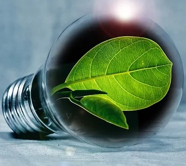 Energy Consulting Services